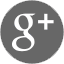 Google Plus Fork101